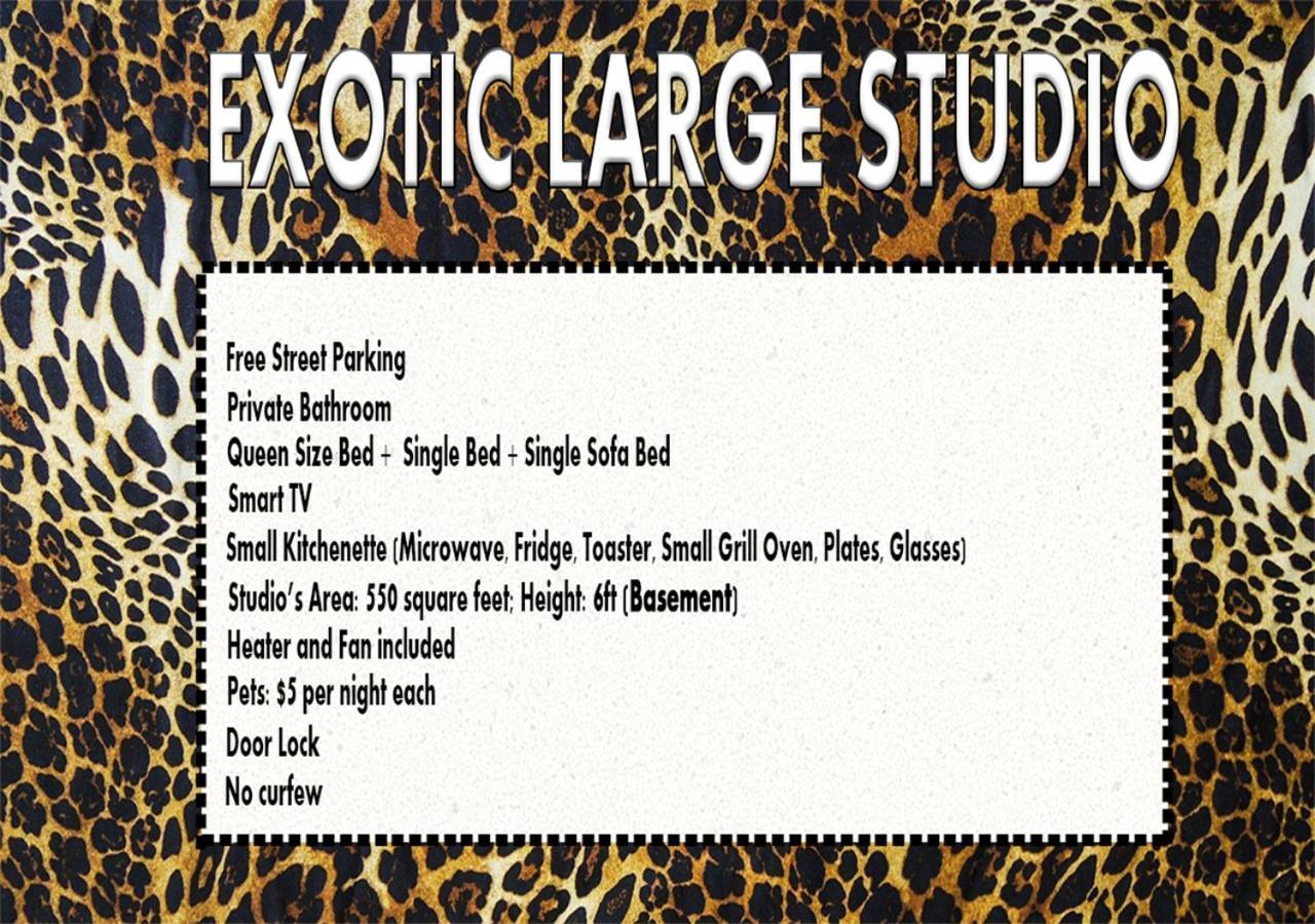 Exotic Large Basement Studio Hotel Montréal Esterno foto